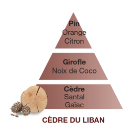 Cèdre du Liban - Virginia Cedarwood 500ml