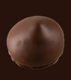 Praline Excellence Glaceerbol Puur