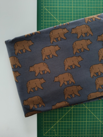 Bears
