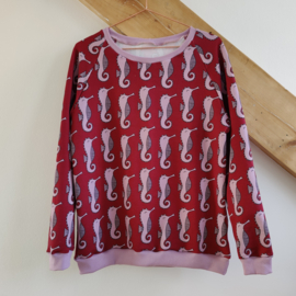 Sweater Seahorse