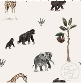 Jungle dieren