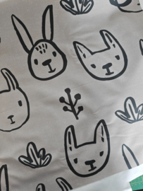 Softshell rabbit