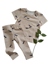 Legging papegaaiduiker
