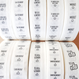 Pluimpjes mini stickers (transparant 2x2cm) | 100 stuks