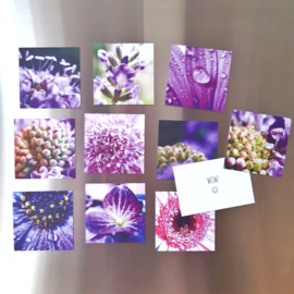 'Violet Glow' Bloemen magneten | set van 10