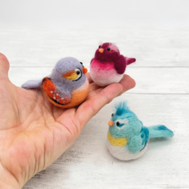 Naaldviltset - Baby vogels