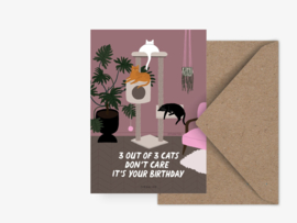 Verjaarsdagskaart Kat - Don't care