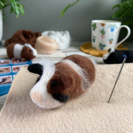 Naaldviltset - Cavia's