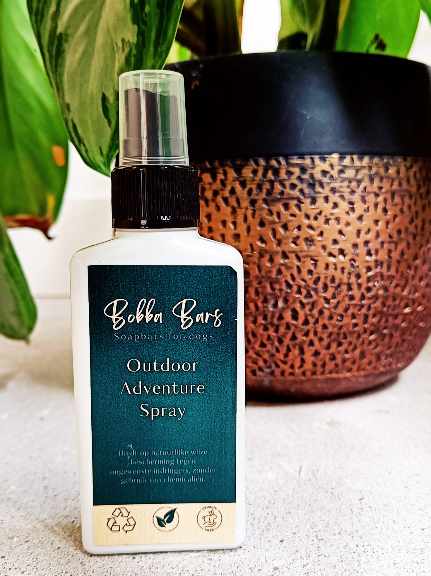 Outdoor adventure spray