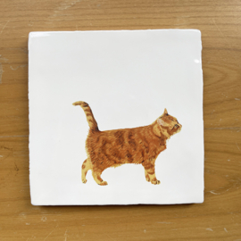 Decoratieve tegel - Rode Kat