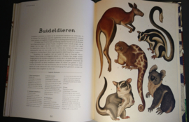 Het Dierenboek