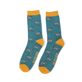 Herensokken Greyhound (teal)