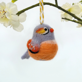 Naaldviltset - Baby vogels