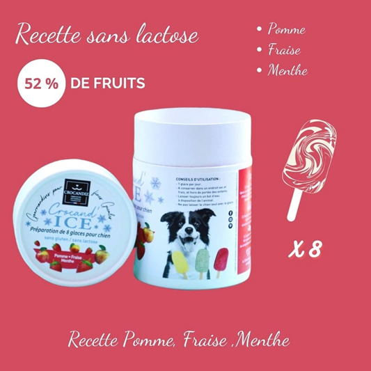 Combiset hondenijs - 2 smaken + ijsmal