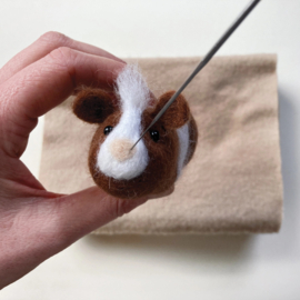 Naaldviltset - Cavia's