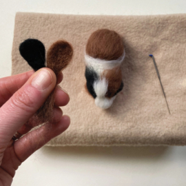Naaldviltset - Cavia's