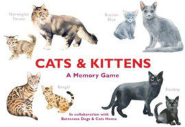 Cats & Kittens - Memory