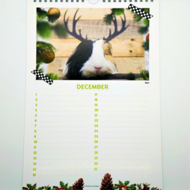 Verjaardagskalender cavia's