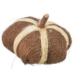 Kokosnootspeeltje - Pompoen