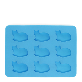 IJsblokjesvorm kat