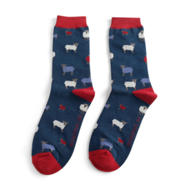 Herensokken Schapen