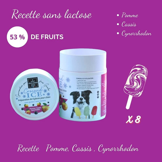 Combiset hondenijs - 2 smaken + ijsmal