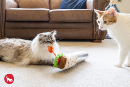 P.L.A.Y. Feline Frenzy - Purrito met garnaal