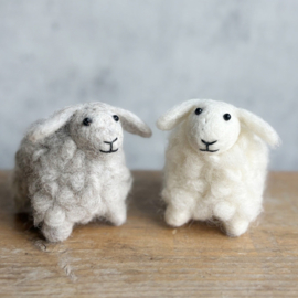 Hanger vilt - Schaap