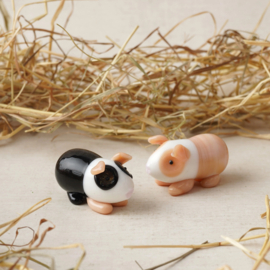 Cavia van glas