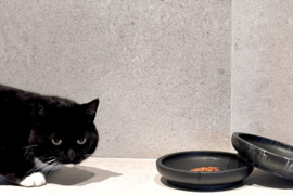 Pino Limited Edition Black kattenvoerbak (gemarmerd)