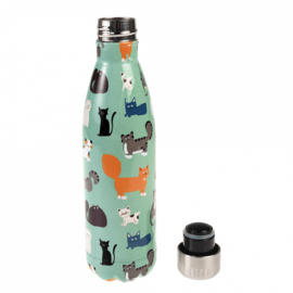 RVS fles 'Raskatten' (500ml)