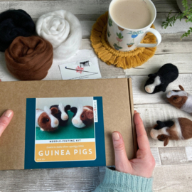 Naaldviltset - Cavia's