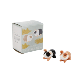 Cavia van glas
