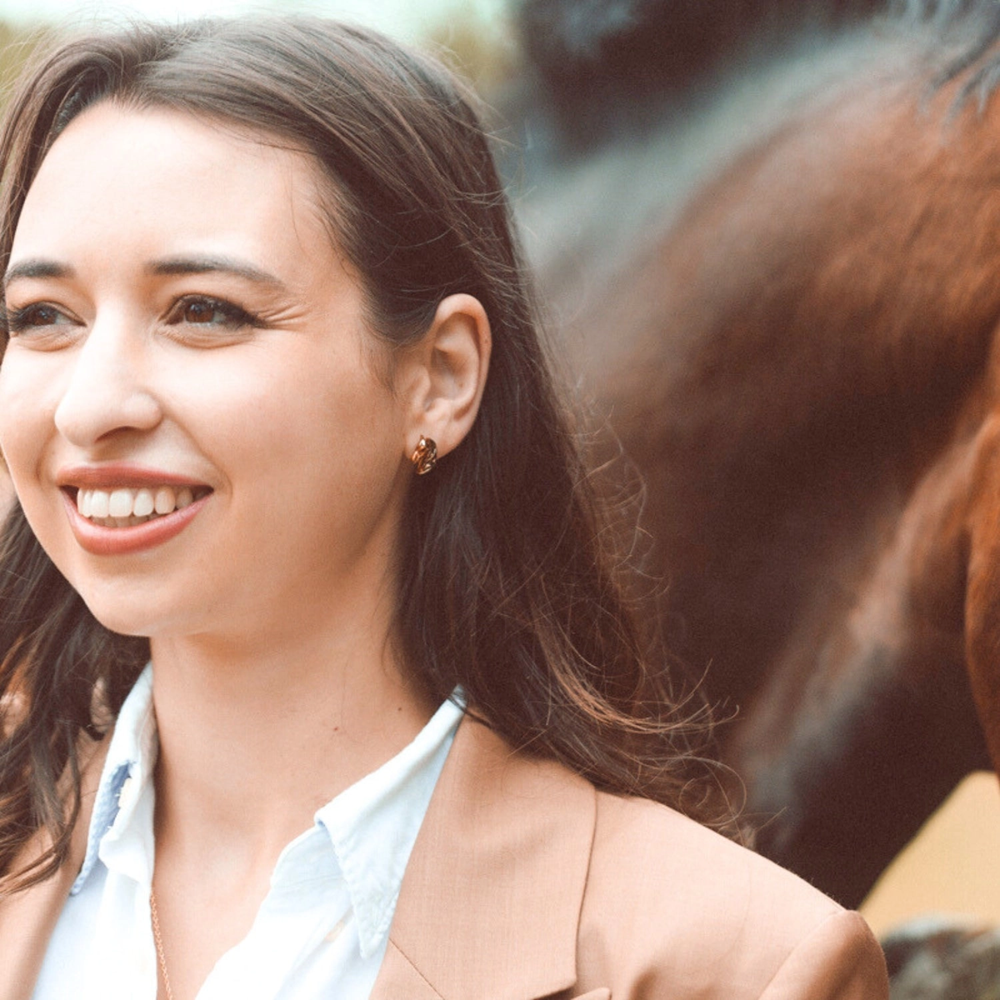 Oorbellen paard