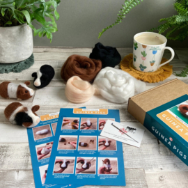 Naaldviltset - Cavia's