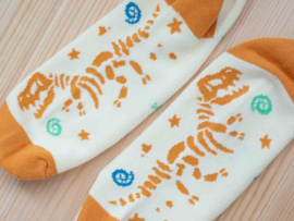 Sokken Dinosaurus - Meteoriet