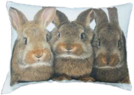 Canvas kussen drie konijnen