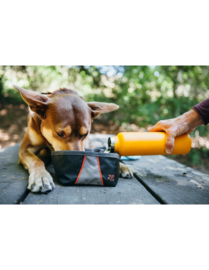 ZippyPaws Adventure Bowl