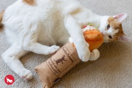 P.L.A.Y. Feline Frenzy - Stokbrood met tonijn