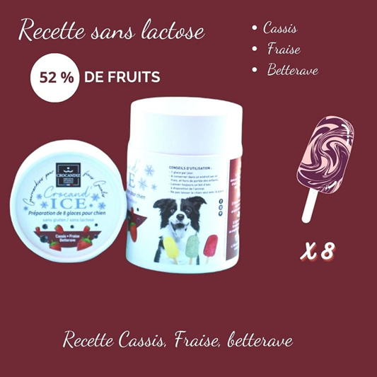 Combiset hondenijs - 2 smaken + ijsmal