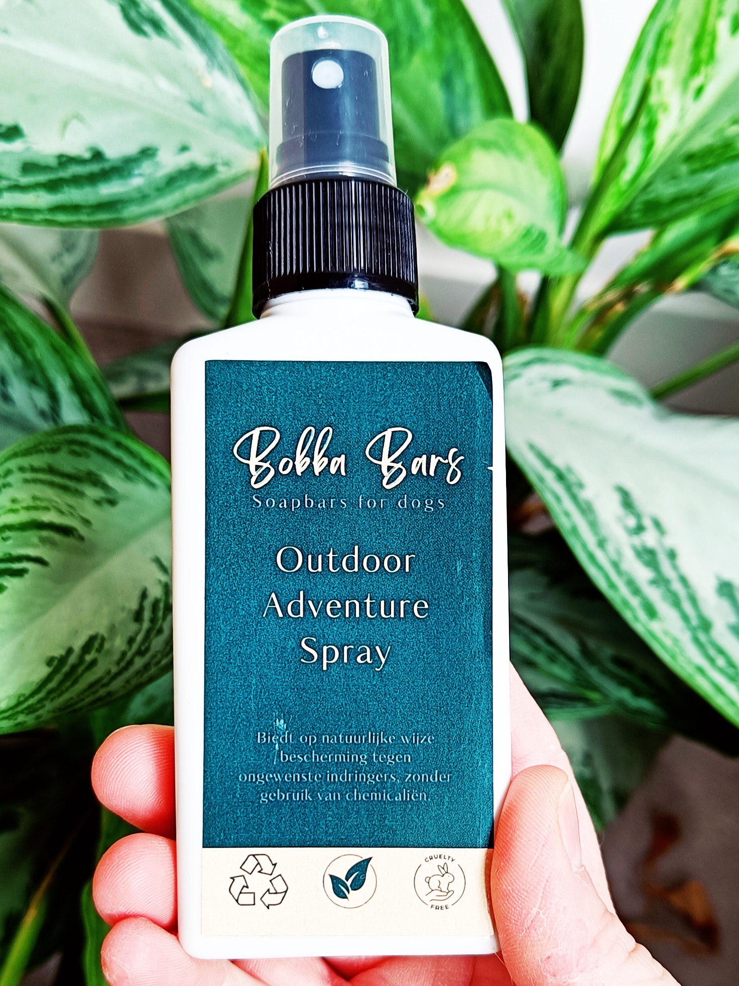 Outdoor adventure spray