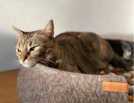 Kattenmand Simona (bruin)