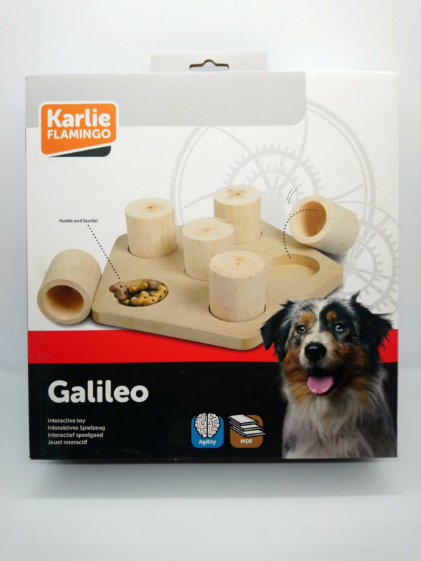 Willen kopiëren Mantel Brain train Galileo | Hond | Dier & Cadeau