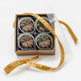 Chocolade - Geschenkdoos 4 Vegan bonbons - Tonkaboon Walnoot - Lindy's Patisserie