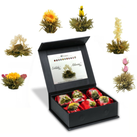 Theebloemen - Geschenkdoosje 6 stuks -Witte Thee - Creano