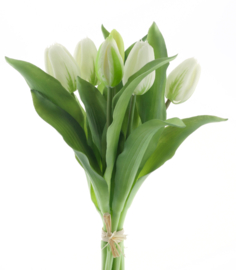 Real Touch Tulpen Klein 30 cm - 7 Kunst Tulpen - Cream