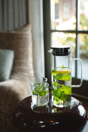 IJsthee Karaf met filter 'Padua' 1,2 liter - Transparant - Bredemeijer