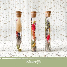 Droogbloemen in glazen buisje met kurk - 15 cm