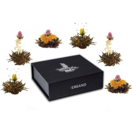 Theebloemen - Geschenkdoosje 6 stuks - Zwarte Thee - Creano