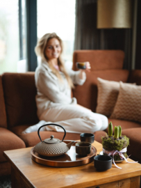 Theepot 'Xilin' - Gietijzer 1,25 liter Camel - Bredemeijer